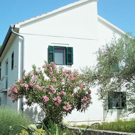 Lukoran Rustic Holiday Home Miketa מראה חיצוני תמונה