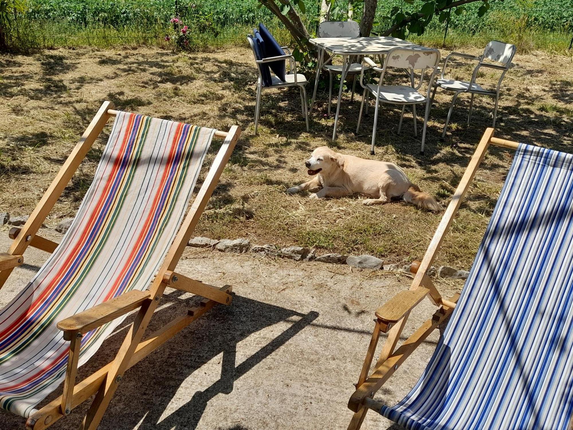 Lukoran Rustic Holiday Home Miketa מראה חיצוני תמונה
