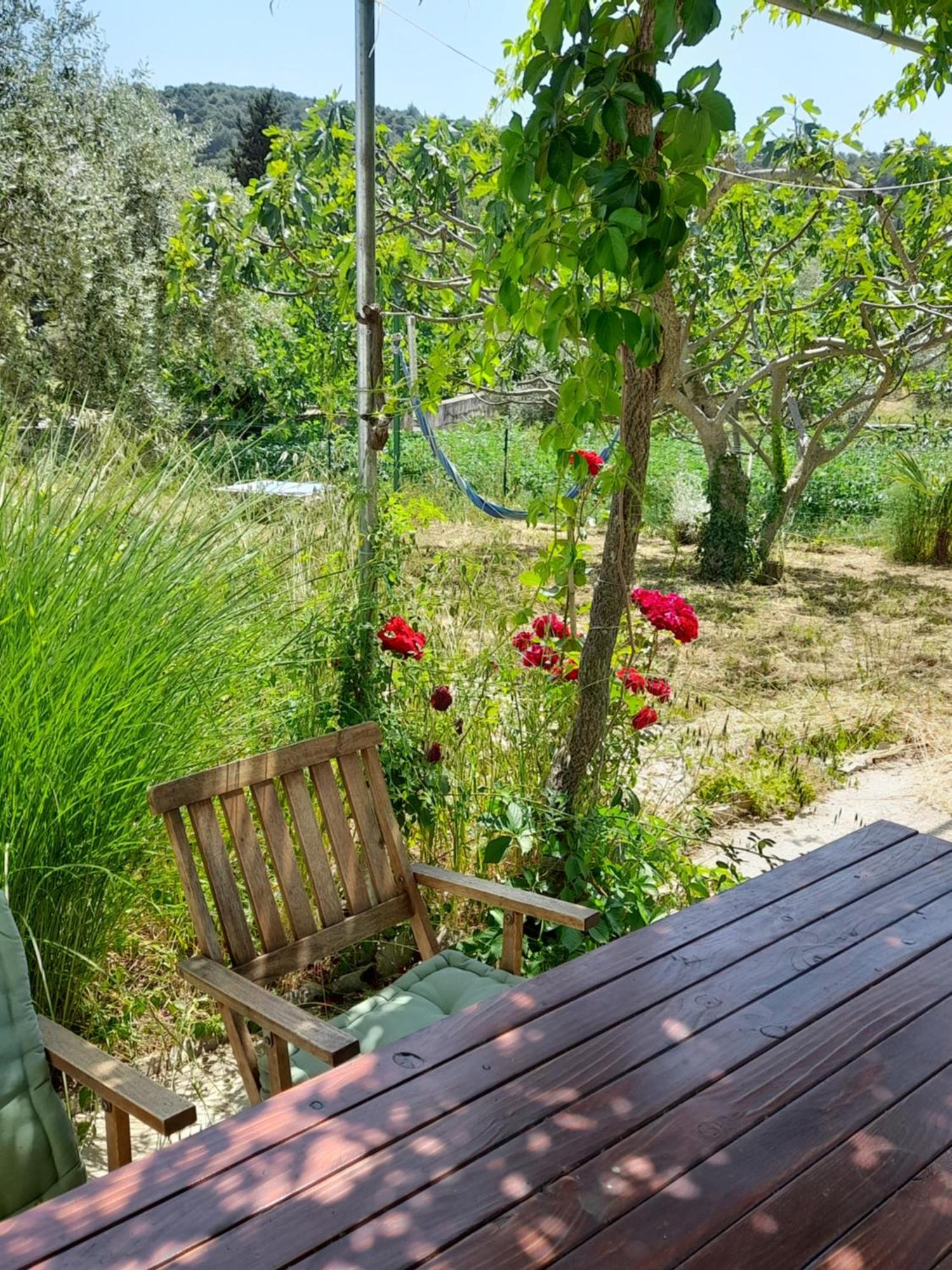 Lukoran Rustic Holiday Home Miketa מראה חיצוני תמונה